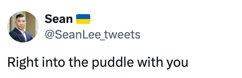 Tweet from Sean: "Right into the puddle with you" with Ukraine flag