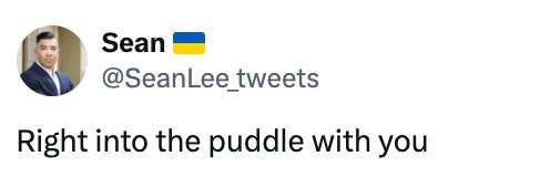 Tweet from Sean: &quot;Right into the puddle with you&quot; with Ukraine flag
