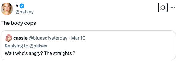 Tweet by Halsey with a reply from a user asking, &quot;Wait who&#x27;s angry? The straights?&quot;