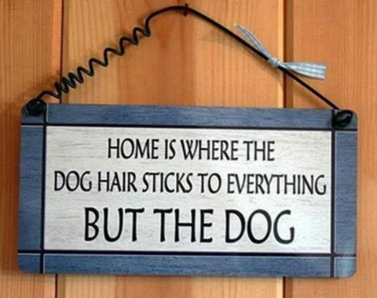 Sign reads: &quot;Home is where the dog hair sticks to everything but the dog.&quot;
