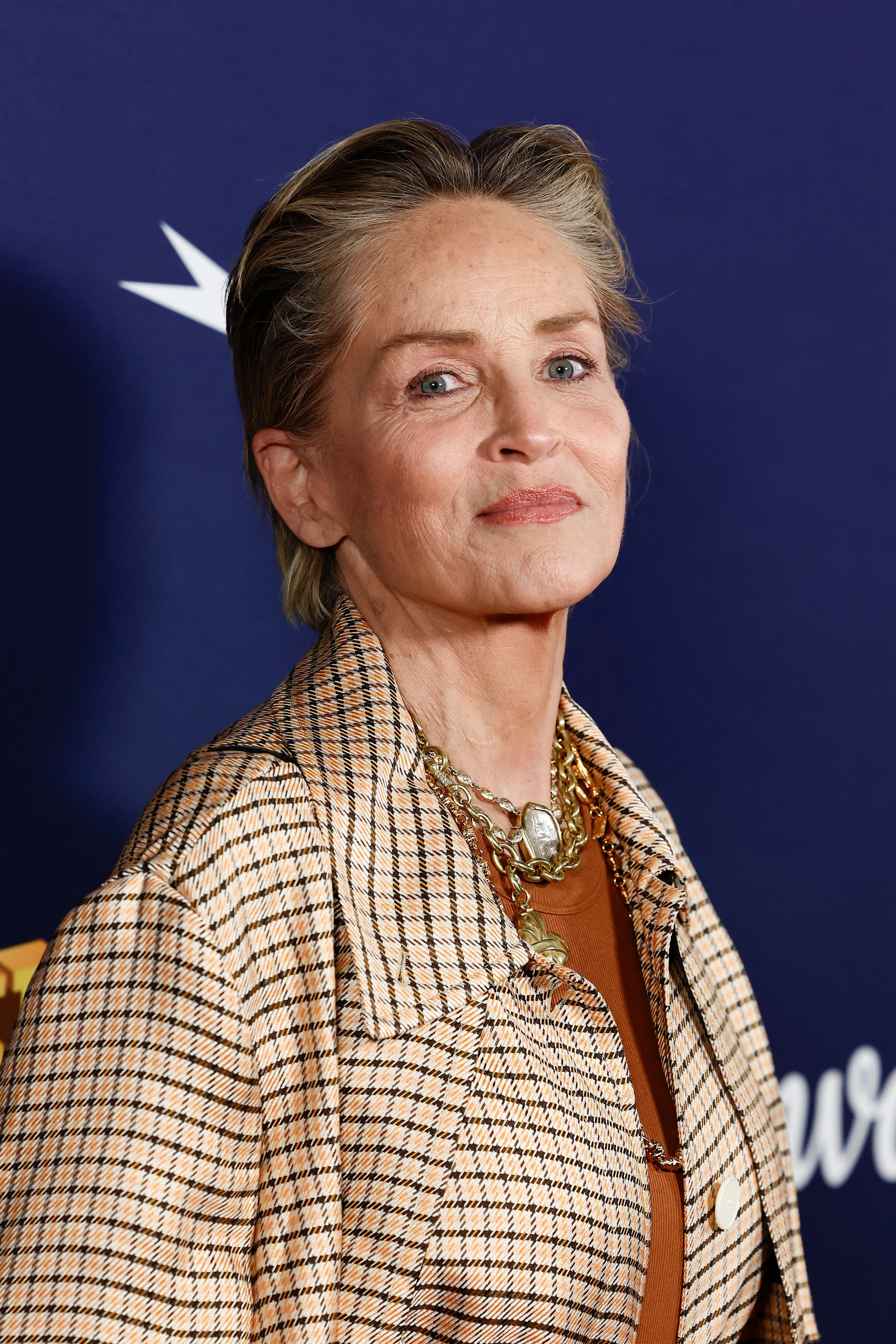 Sharon Stone in plaid patterned jacket with layered necklaces, smiling at an event