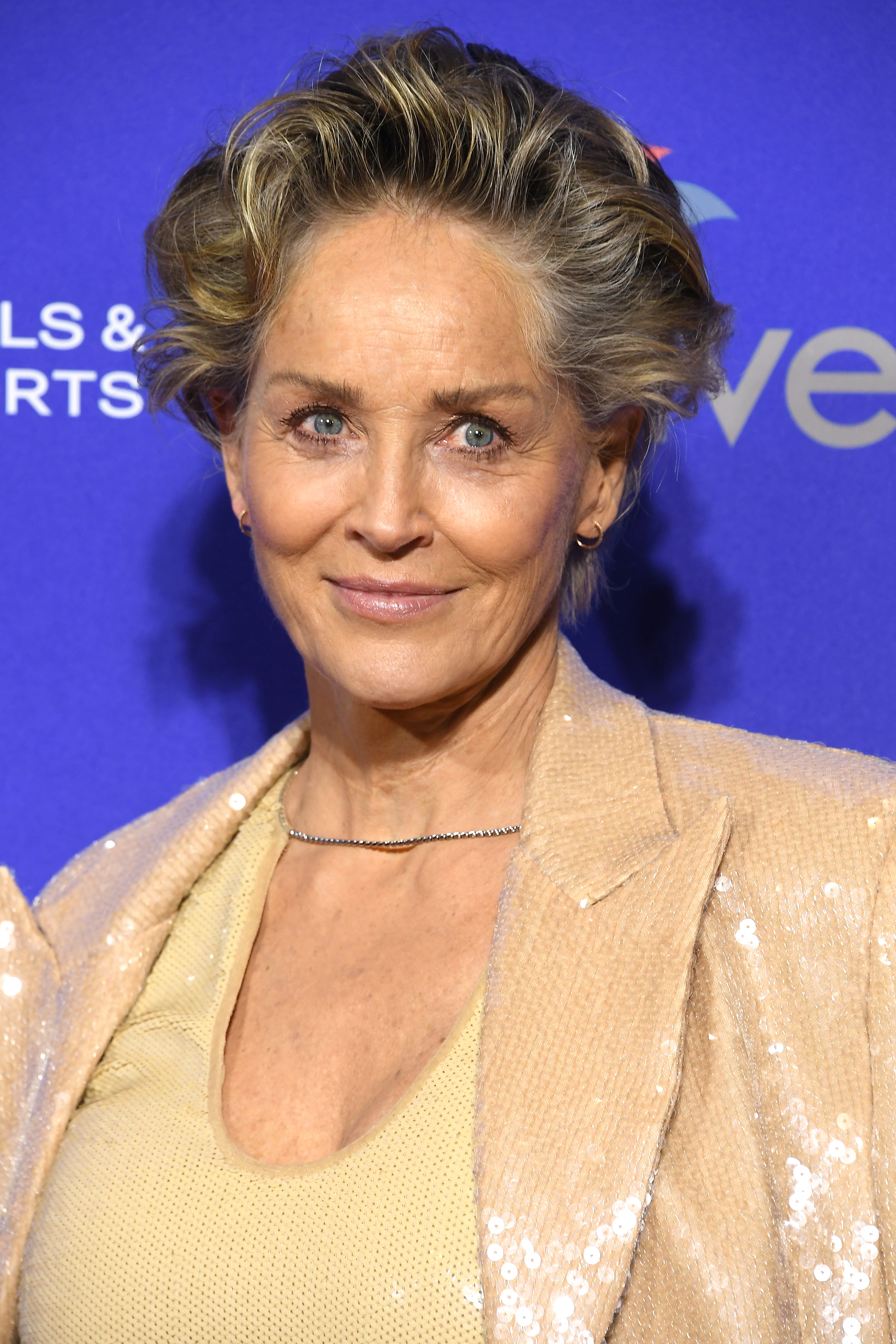 Sharon Stone in glamorous, shimmering blazer with a subtle necklace at an event backdrop