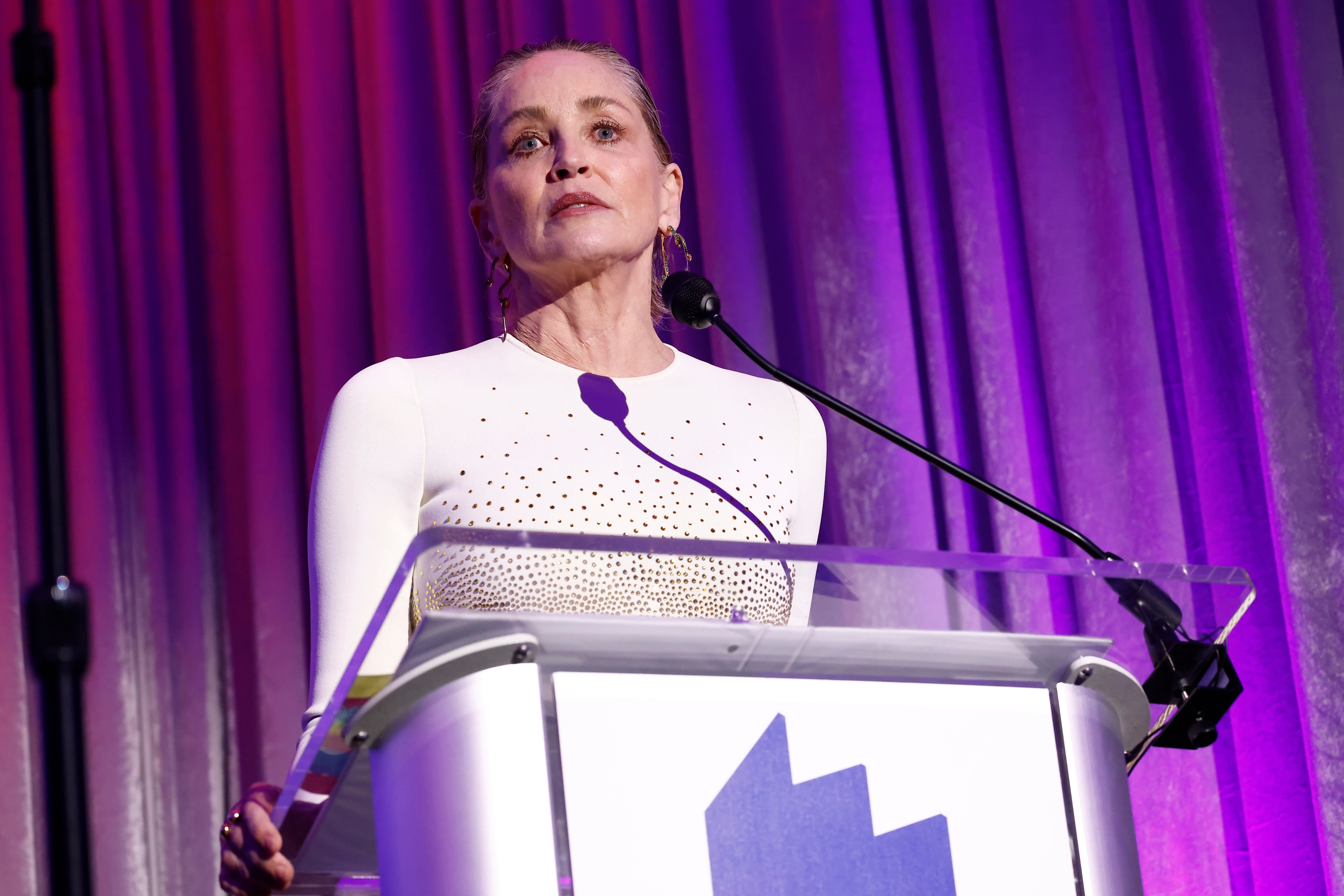 Sharon Stone stands at a podium giving a speech, wearing a long-sleeved top with sparkling embellishments