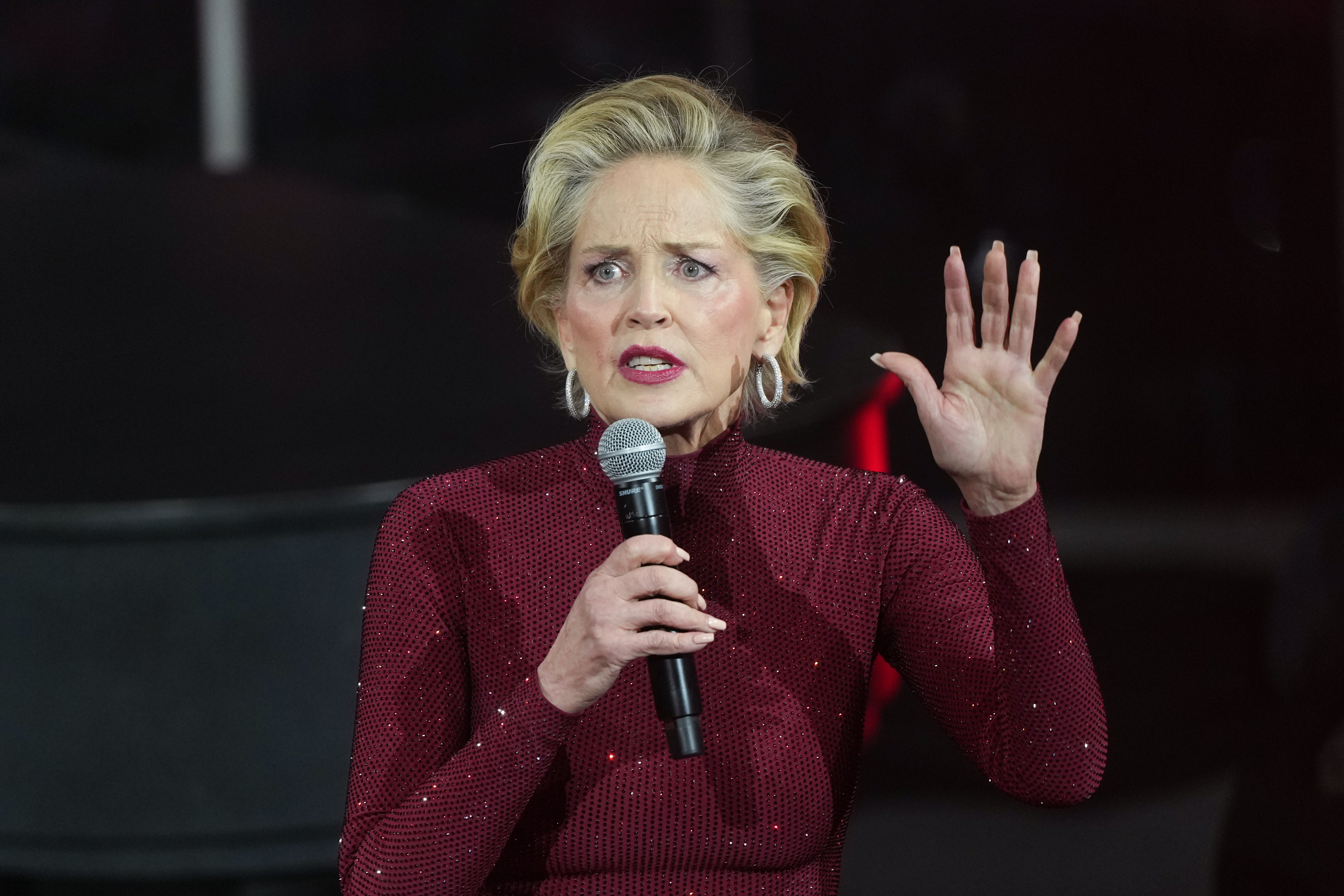 Sharon Stone holding a microphone, wearing a sparkly long-sleeve dress, speaking animatedly with one hand raised