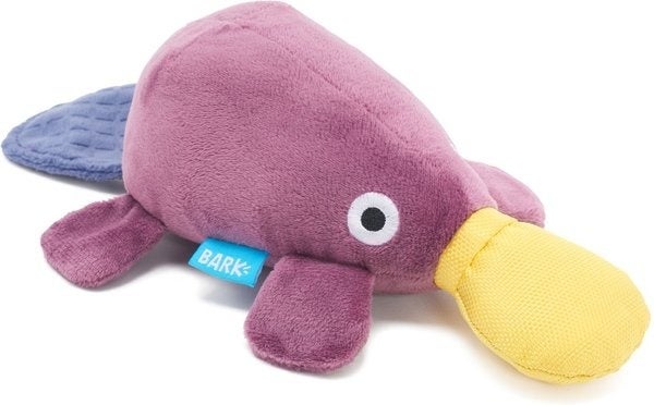 Plush platypus canine  artifact  with a cheerful design, featuring brushed  textures and a stitched label, suitable for playful pets