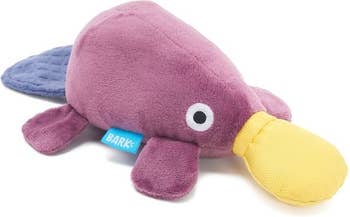 Plush platypus canine artifact with a cheerful design, featuring brushed textures and a stitched label, suitable for playful pets