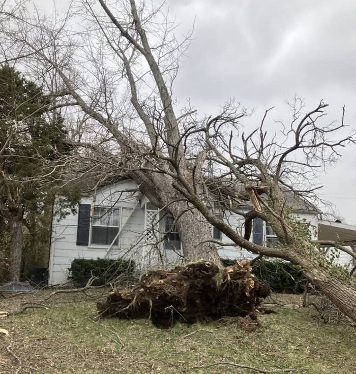 22 Photos Of Storm Damage In The South And Midwest