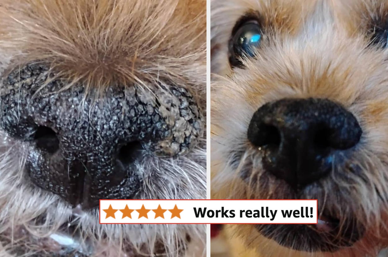 Close-up comparison of a dog's nose before and after use of a product. Text below reads: "★★★★★ Works really well!"