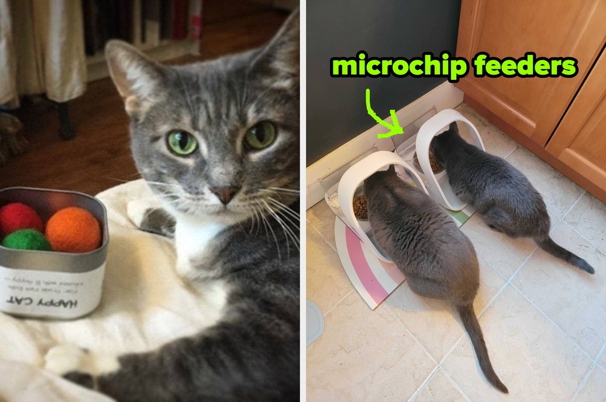 If You've Got At Least Two Cats Running Around Your Home, Check Out These 24 Useful Products