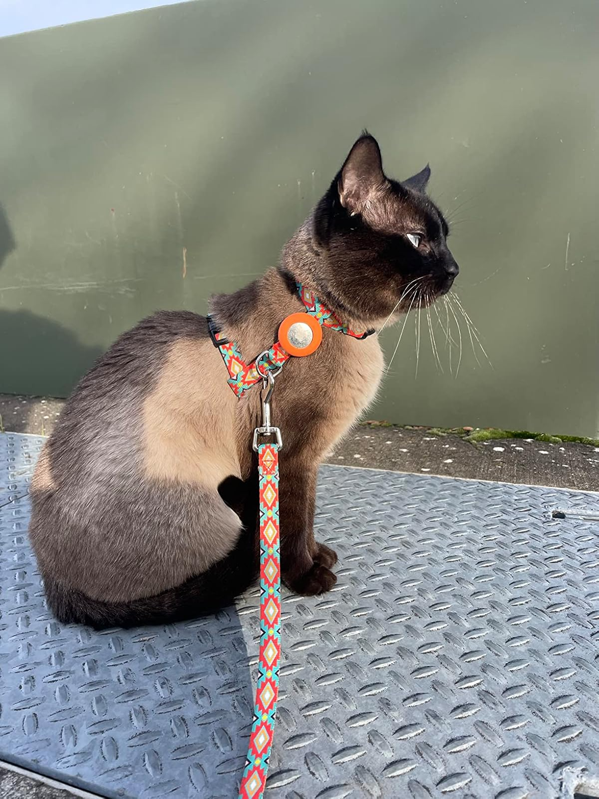 Cat Leash Filbert Cat Harness And Leash Set With Reflective Strip