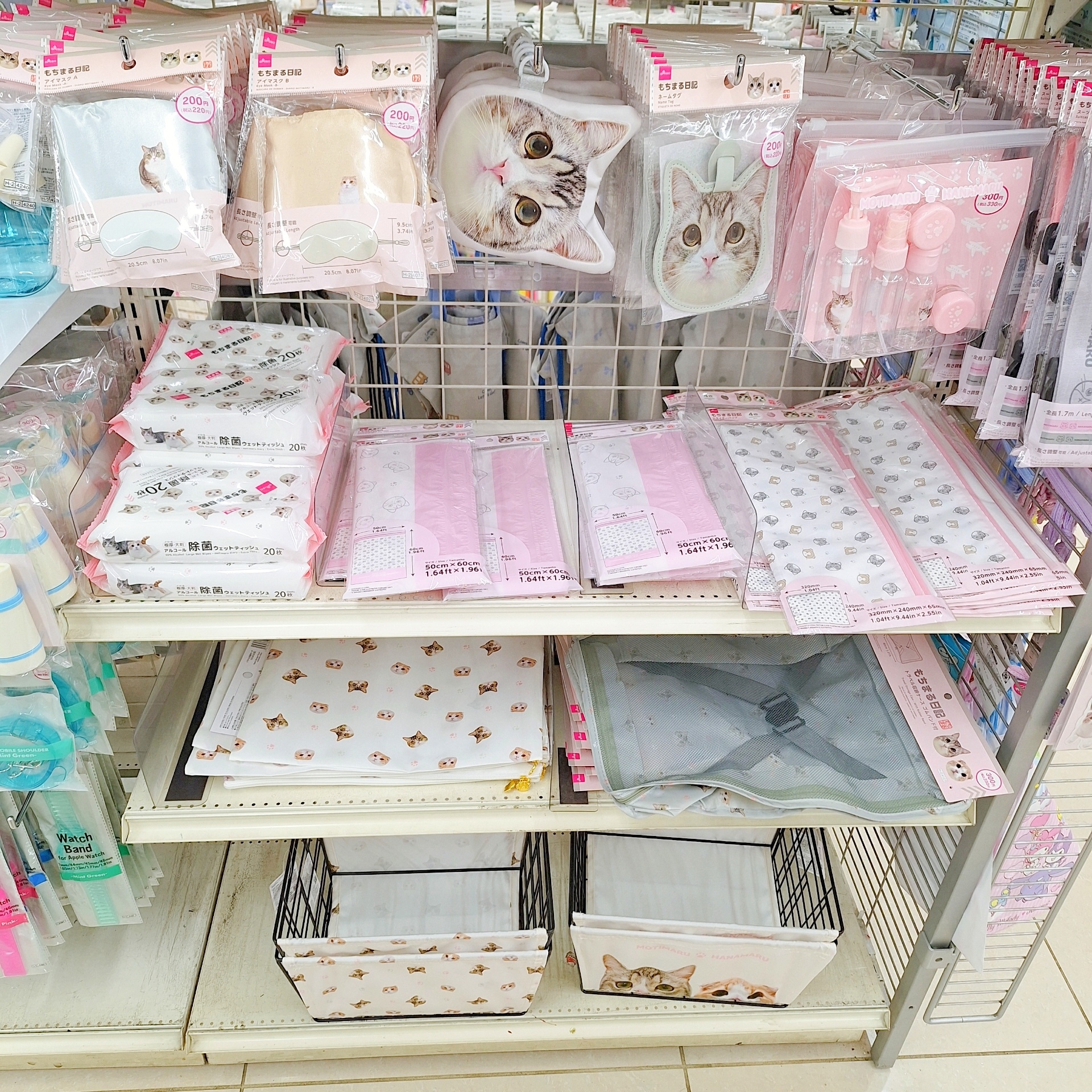 ダイソー×もちまる日記】かわいすぎて、ずっと見てたいよ！猫