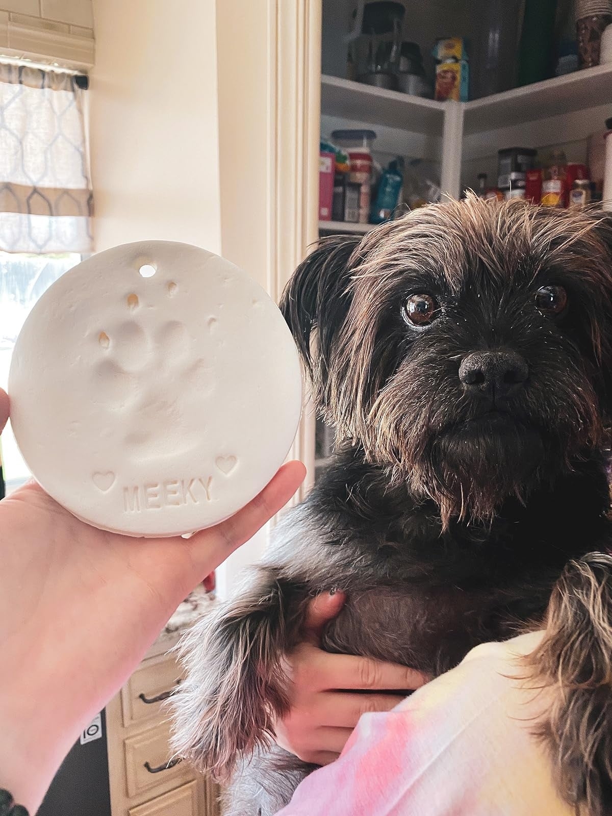 Person holding a dog's paw print impression labeled "MEEKY" next to a small, fluffy dog indoors near a pantry