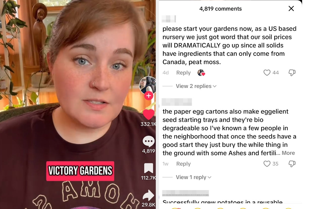 Person discussing gardening tips, including starting gardens early due to soil price increases. Discussion about egg carton seed starters featured in comments