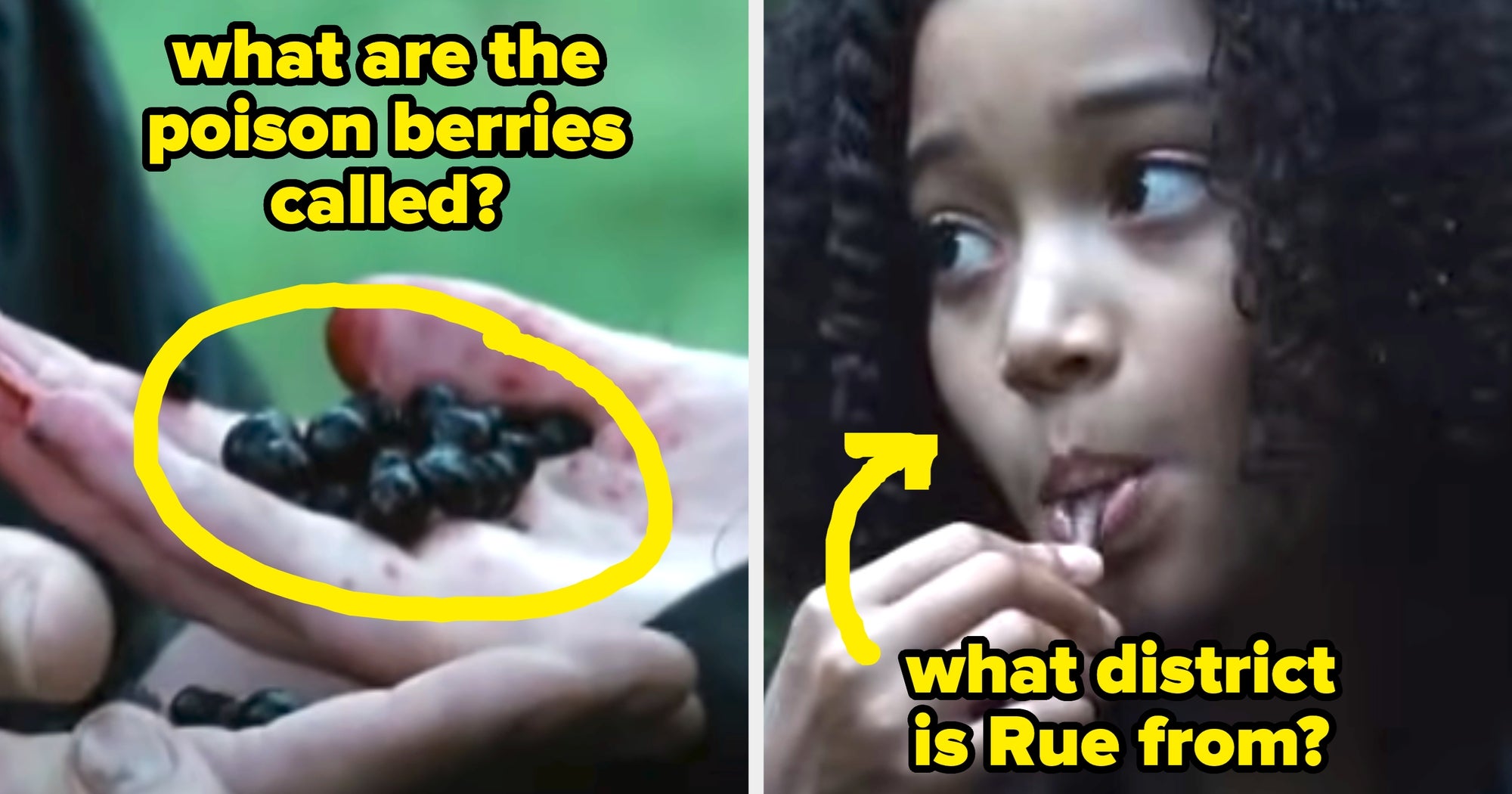You Probably Remember Way Less About "The Hunger Games" Than You Think, So This Trivia Test Is About To Severely Humble You