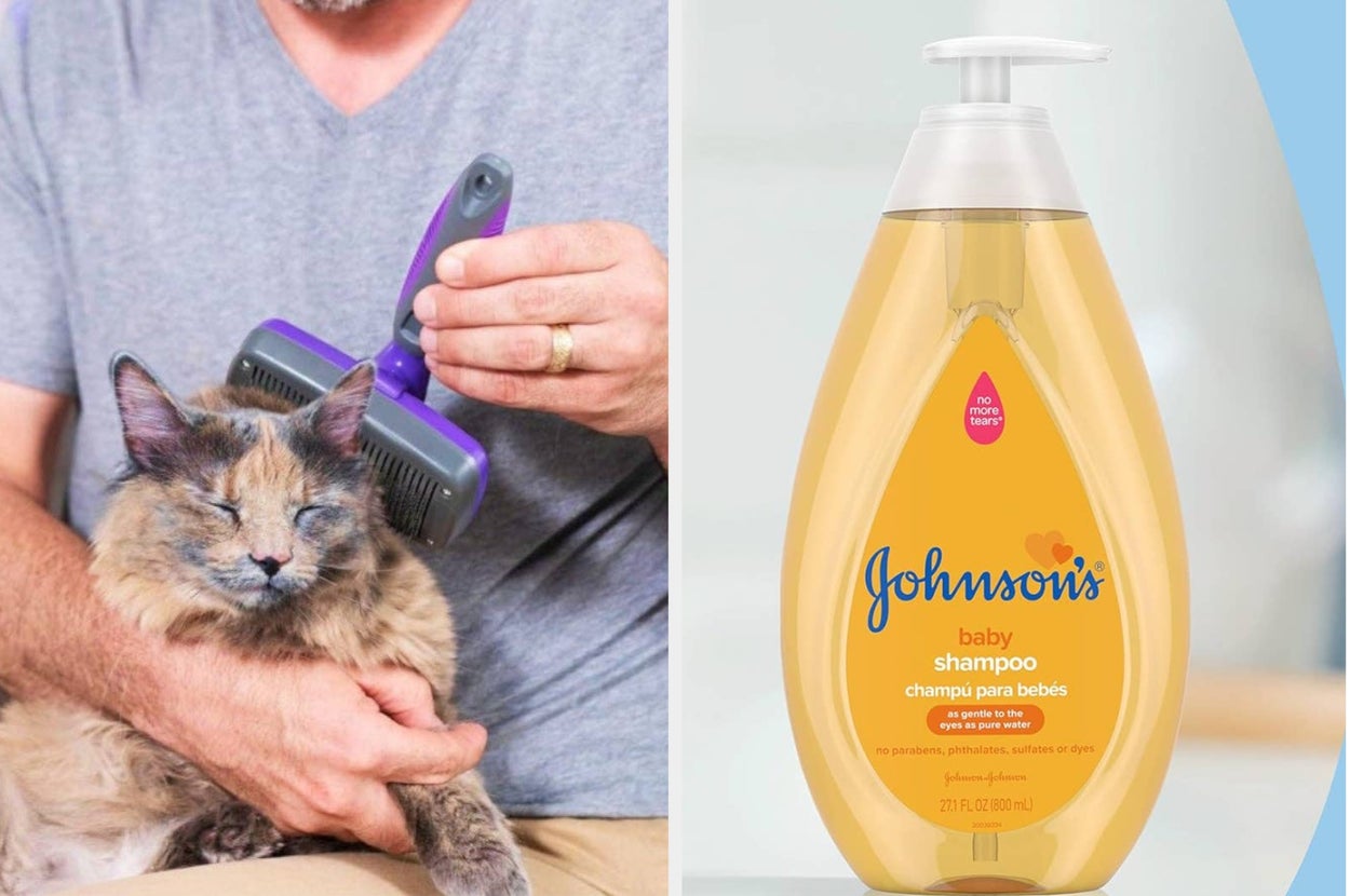 Cat enjoying being brushed and the baby shampoo