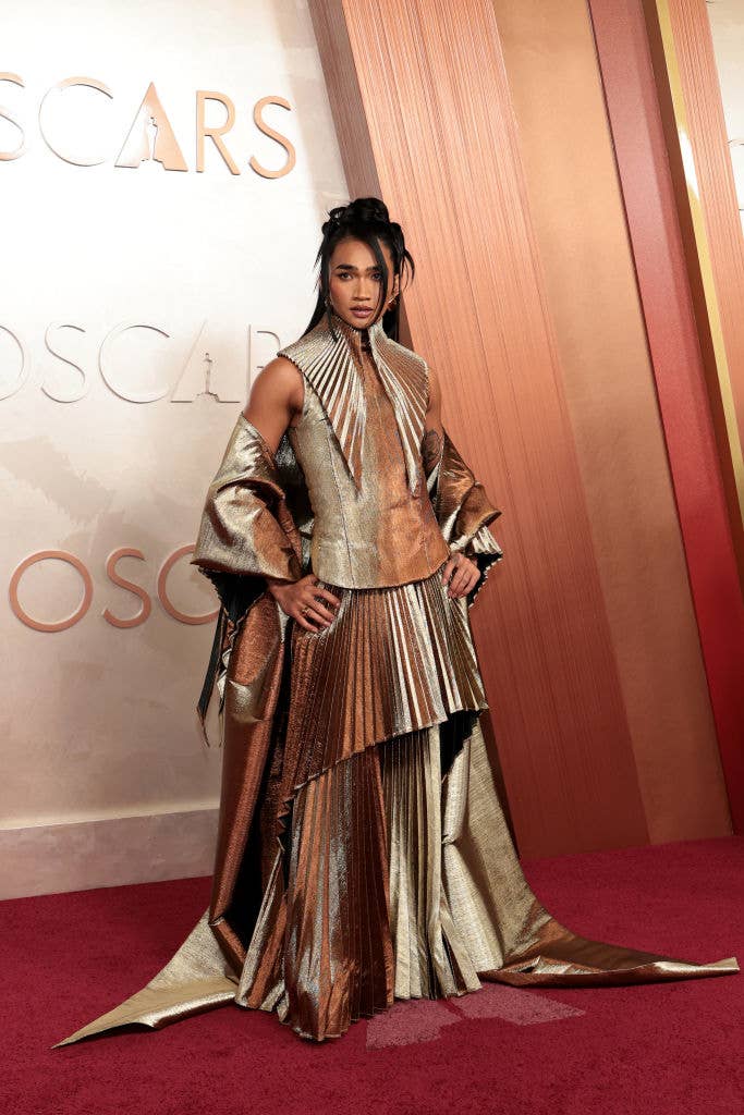2025 Oscars Red Carpet Looks 2025 Oscars Red Carpet Looks