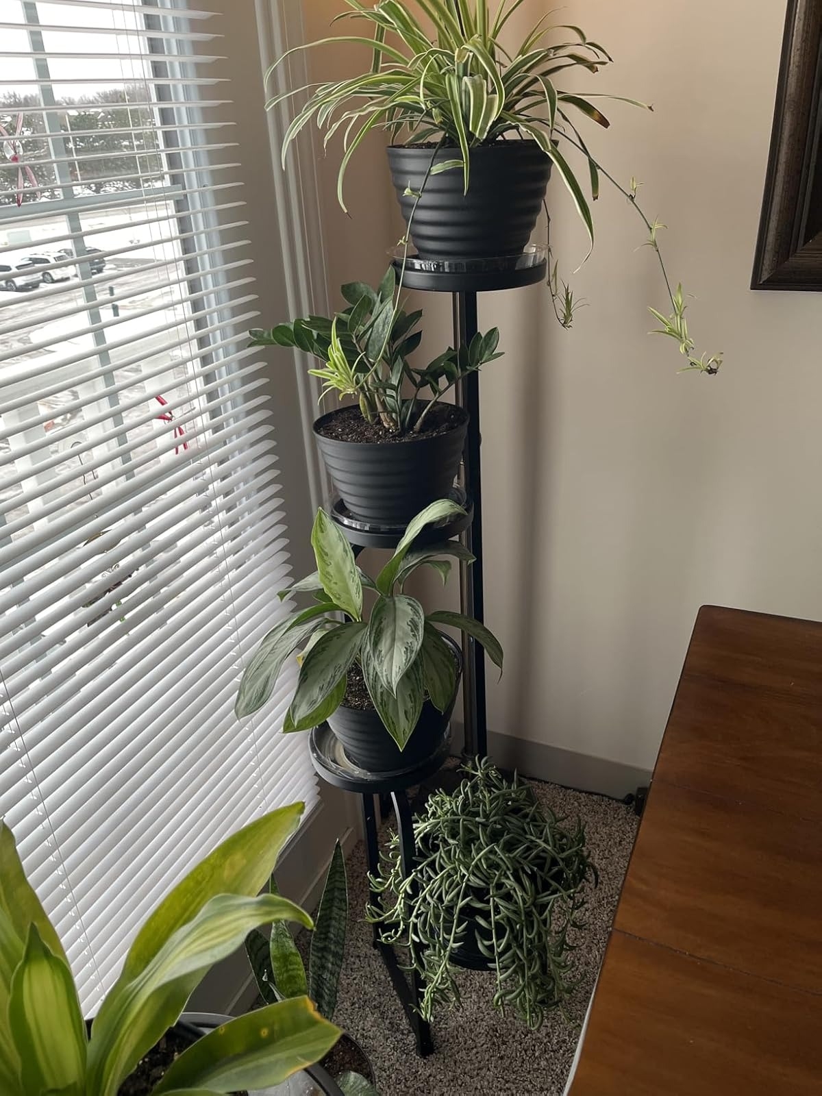 Indoor corner with a multi-tier plant stand holding various leafy plants by a window, enhancing the room's natural decor