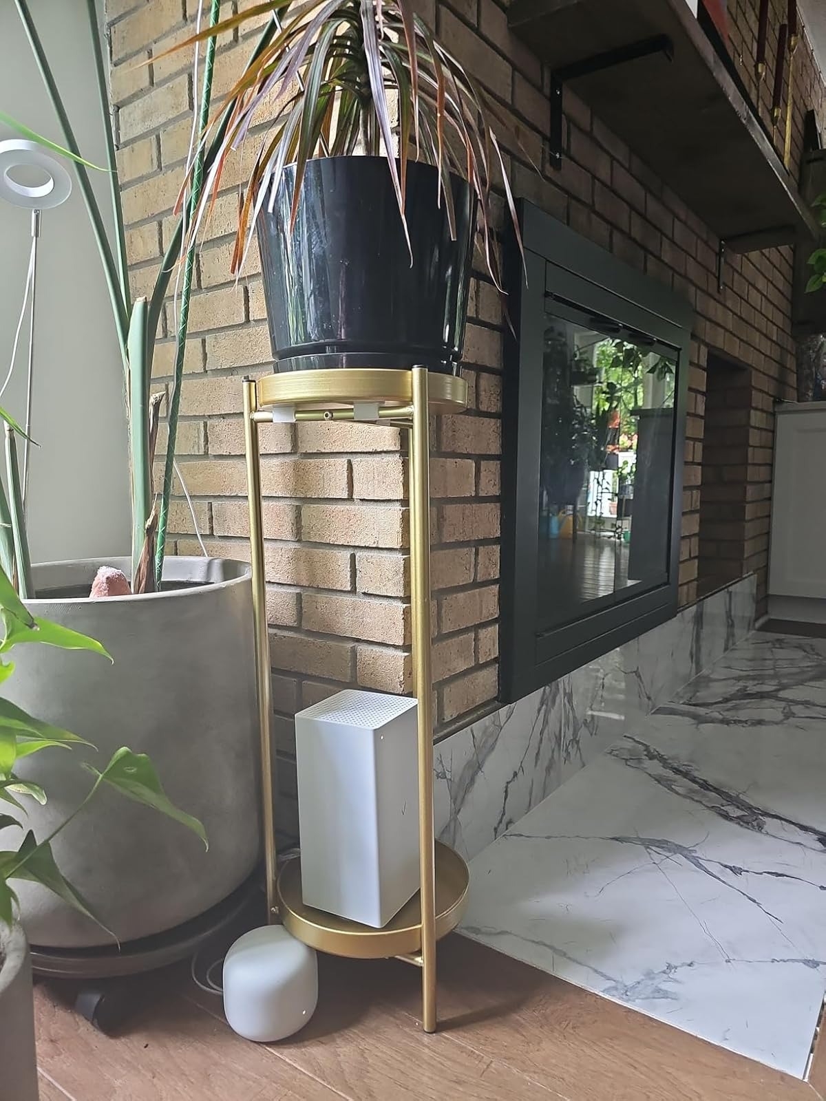 Indoor plant on a stand above a small speaker near a modern fireplace, creating a cozy decor statement