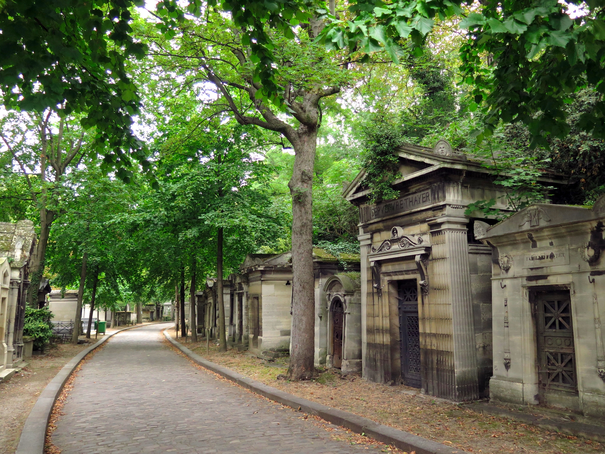 Tree-lined path through historic cemetery with ornate stone mausoleums on either side. Peaceful and serene atmosphere