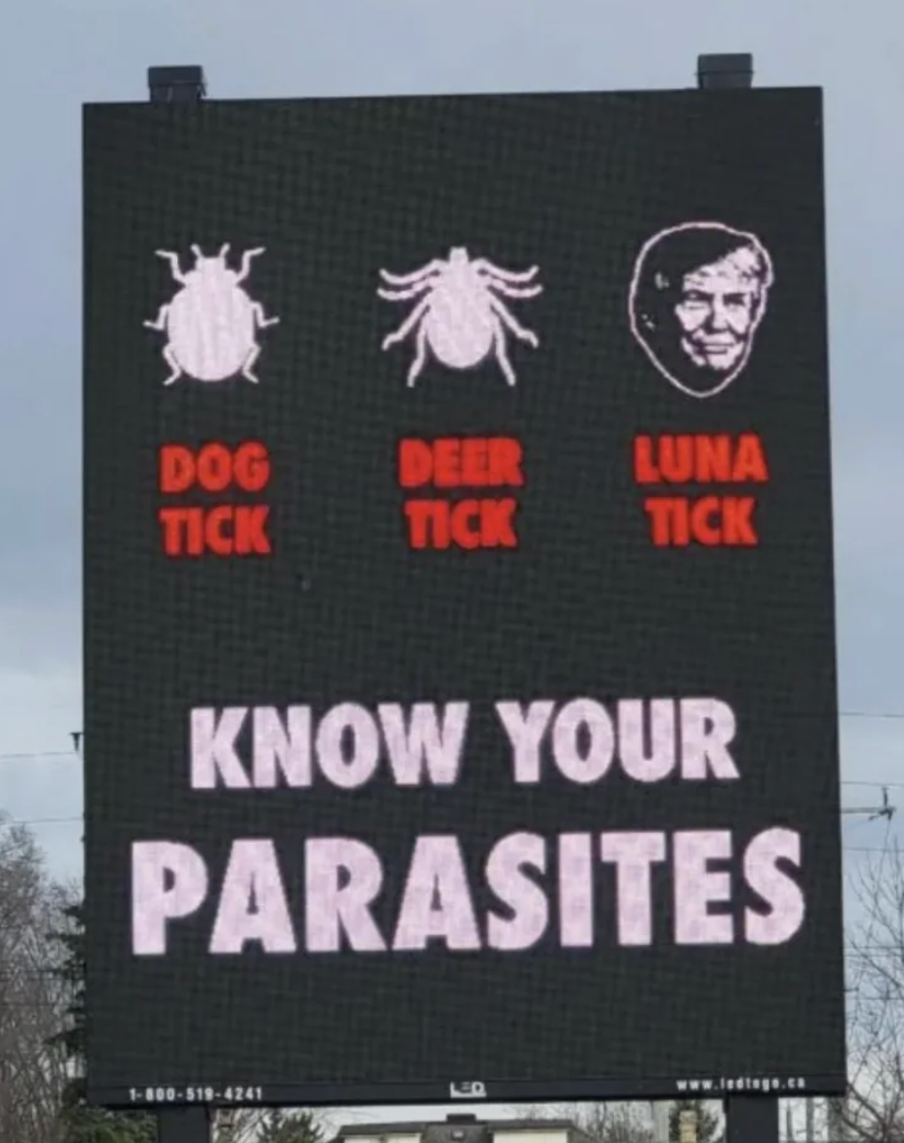 A billboard showing illustrations of a canine  tick, cervid  tick, and a idiosyncratic   labeled "Luna tick" with the substance   "Know Your Parasites."