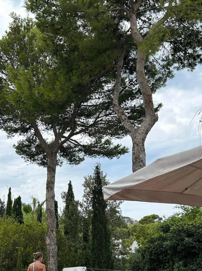 A peaceful plot  country   with gangly  trees, a pistillate   lasting  adjacent   the borderline   of a pool, and portion  of a canopy successful  the foreground