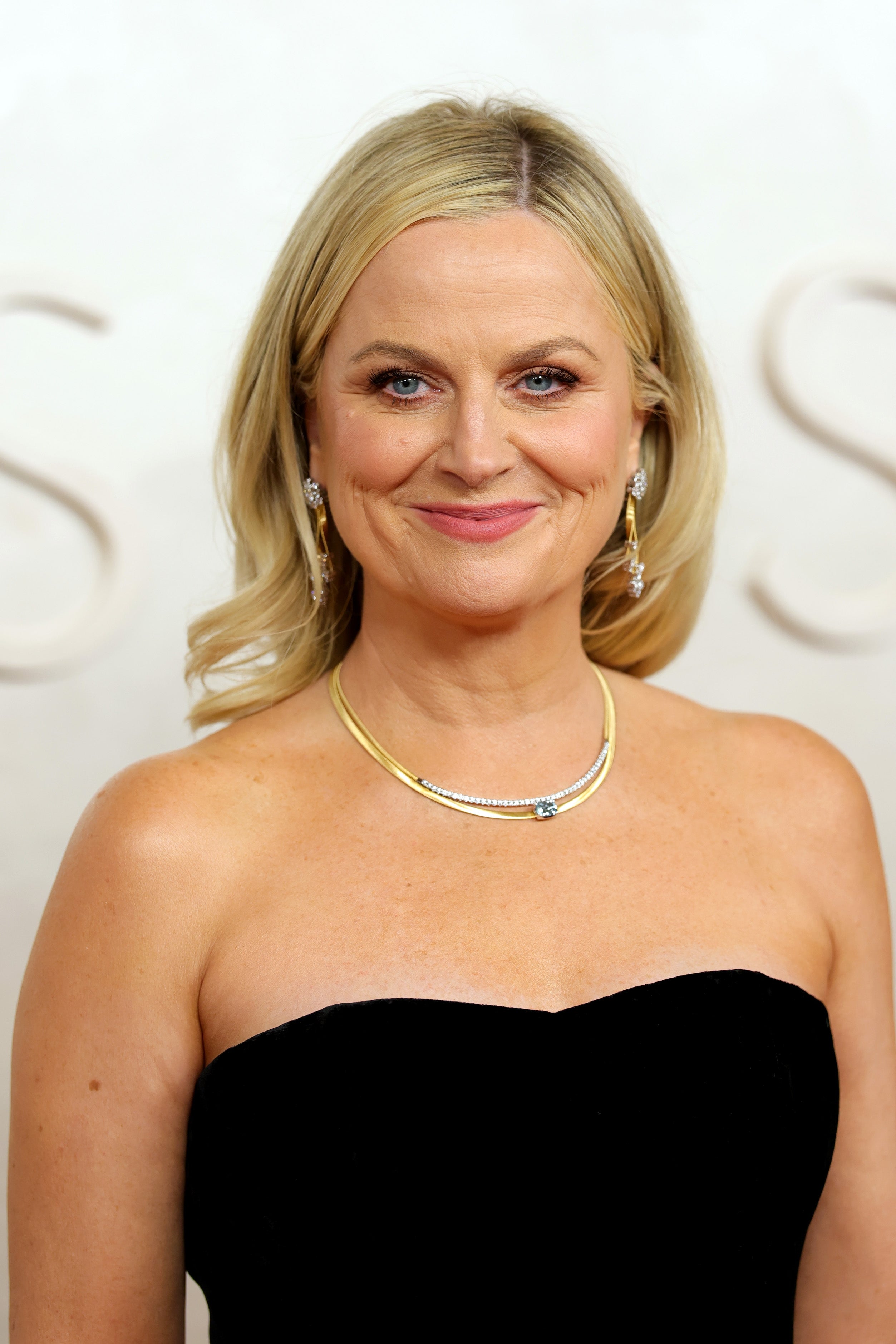 Amy Poehler on the red carpet at the Oscars