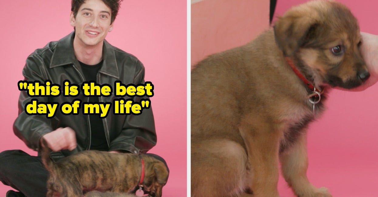 Milo Manheim's Puppy Interview Was Just Crashed By His Costar Liz Gillies, And What Happened Next Was So Cute