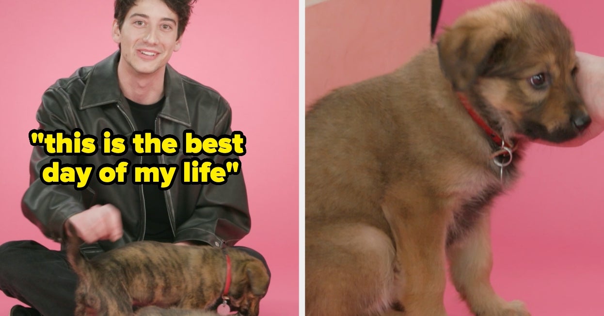 Milo Manheim Talked About Starring In "Little Shop Of Horrors" While Playing With The Cutest Puppies