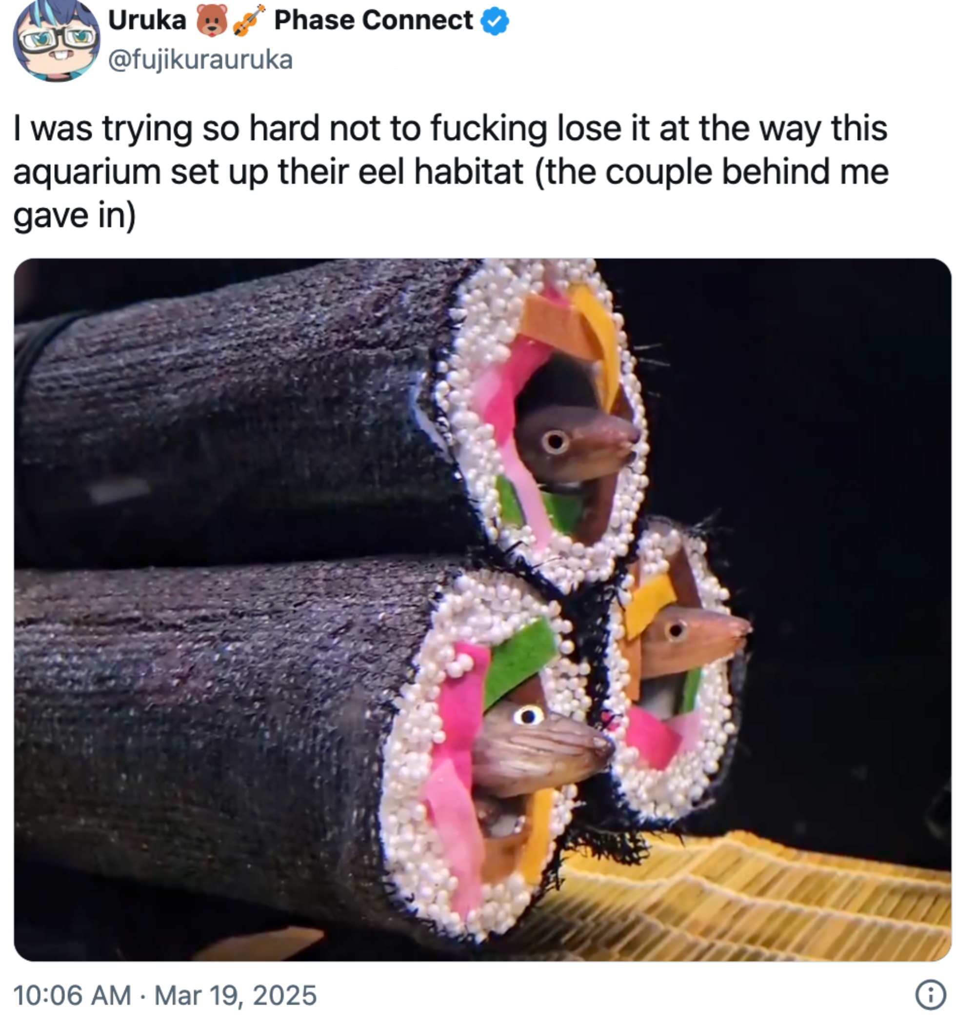 Ål kikket ut fra sushi-rulle-lignende rør i et akvarium. Tekst uttrykker underholdning ved det kreative oppsettet