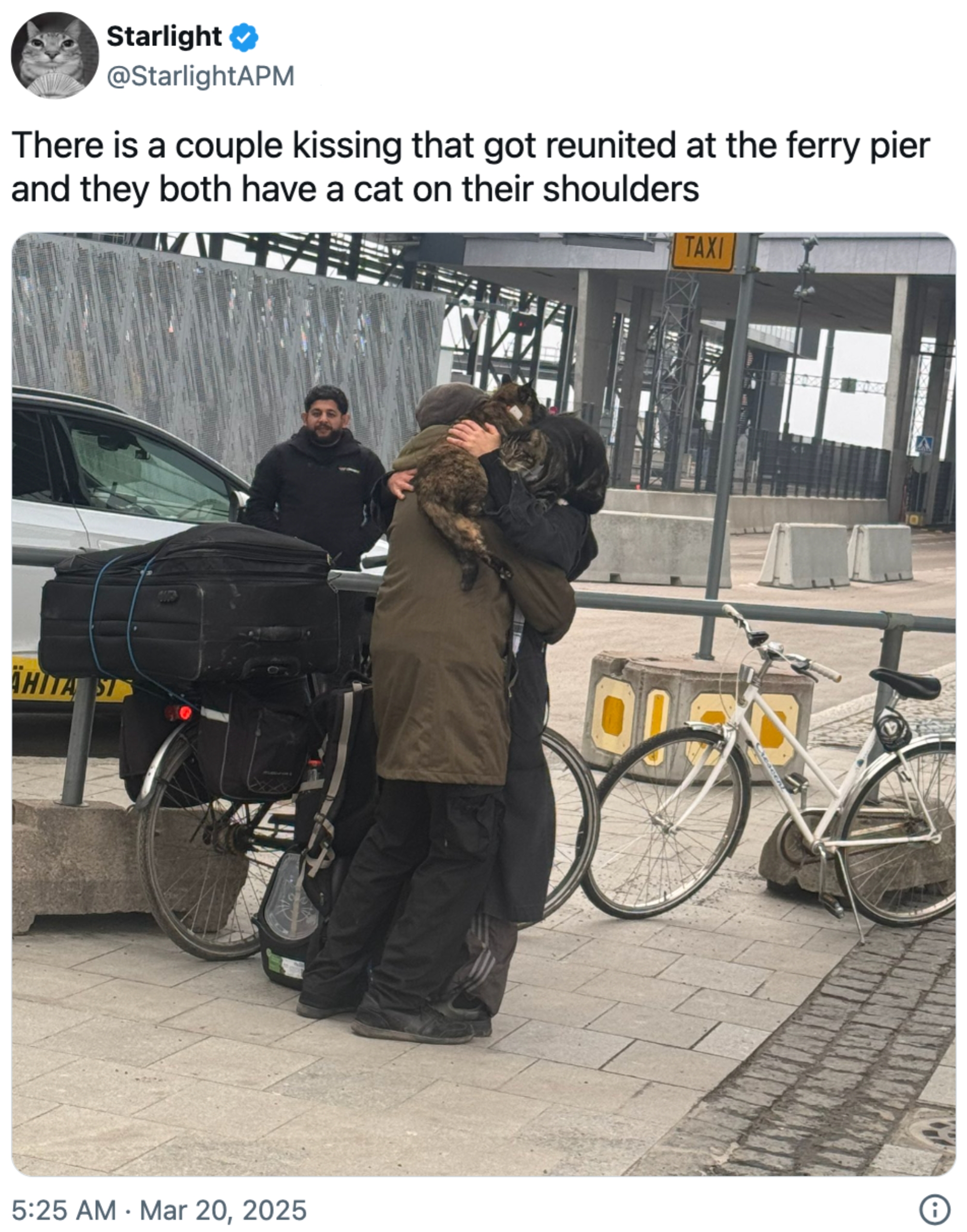 Et par kysser mens de ble gjenforent på en ferjekrok, hver med en katt på skulderen. To sykler og en person i bakgrunnen er synlige