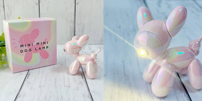 めちゃくちゃかわいい」「全色揃えたくなる」フランフランの『480円 