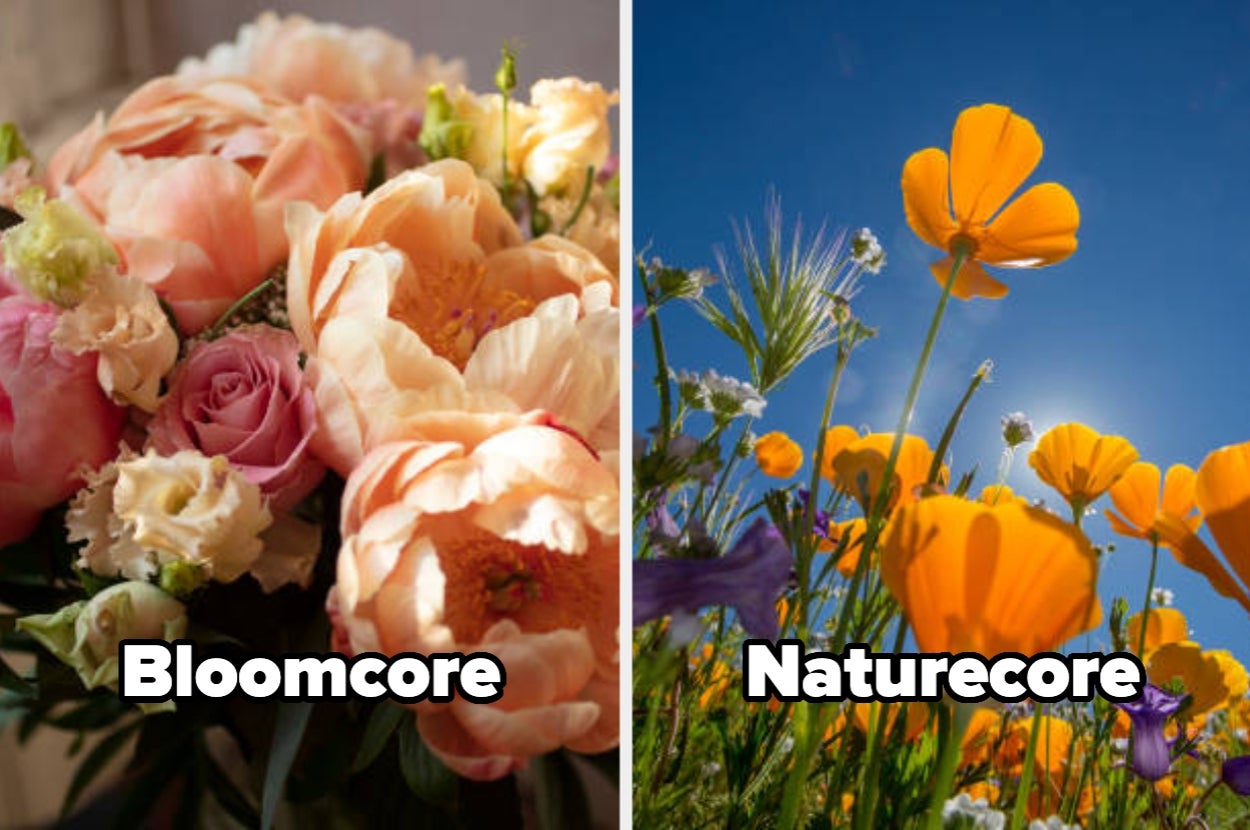 Left: Close-up of a pastel floral bouquet, labeled "Bloomcore." Right: Wildflowers and blue sky, labeled "Naturecore."