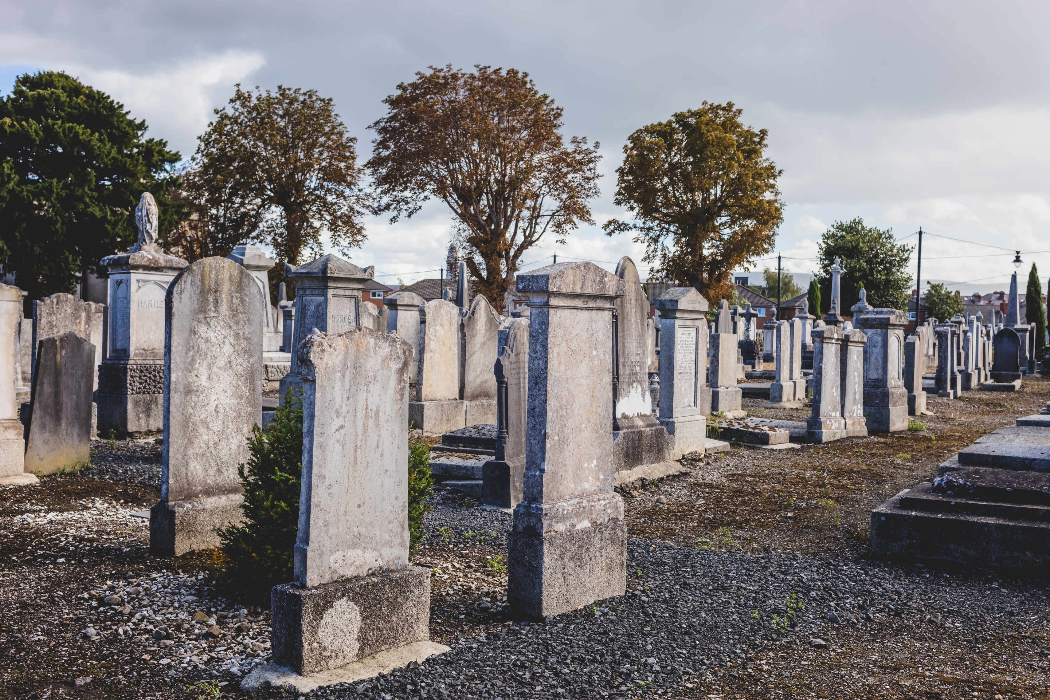 Gravestones in an old cemetery, surrounded by trees and a cloudy sky