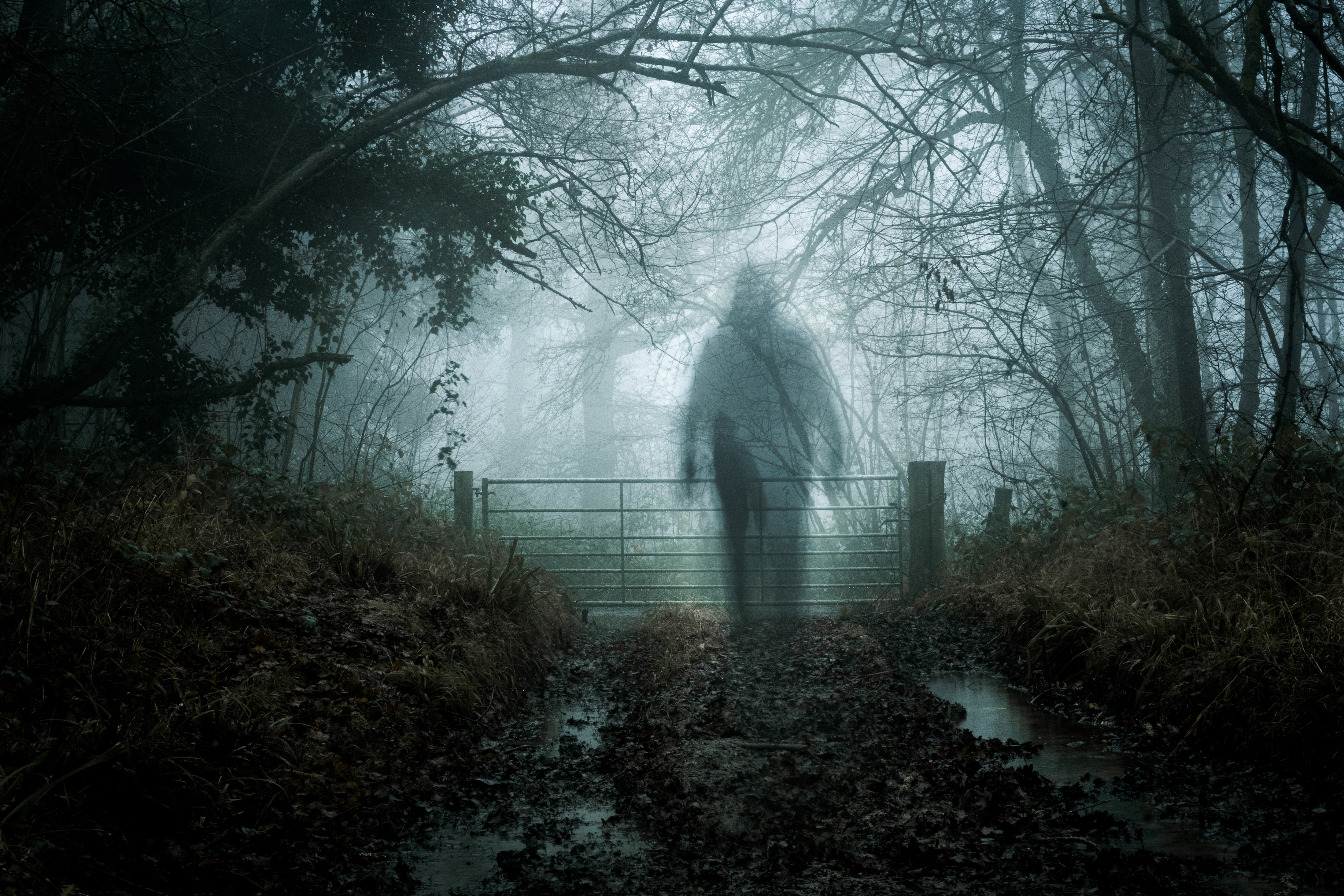 A ghostly figure stands on a misty forest path near a gate, surrounded by bare trees, creating an eerie, mysterious atmosphere