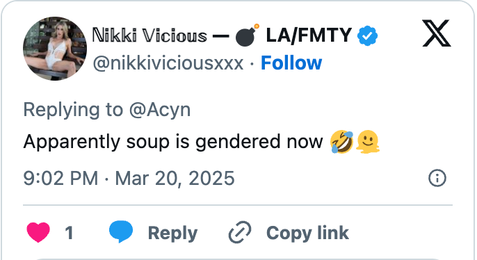 Tweet from Nikki Vicious: &quot;Apparently soup is gendered now&quot; with laughing emoji, dated March 20, 2025, 9:02 PM