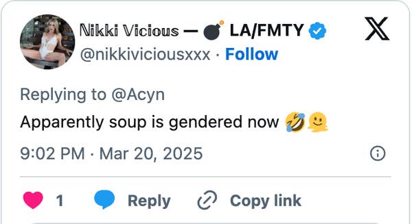 Tweet from Nikki Vicious: &quot;Apparently soup is gendered now&quot; with laughing emoji, dated March 20, 2025, 9:02 PM