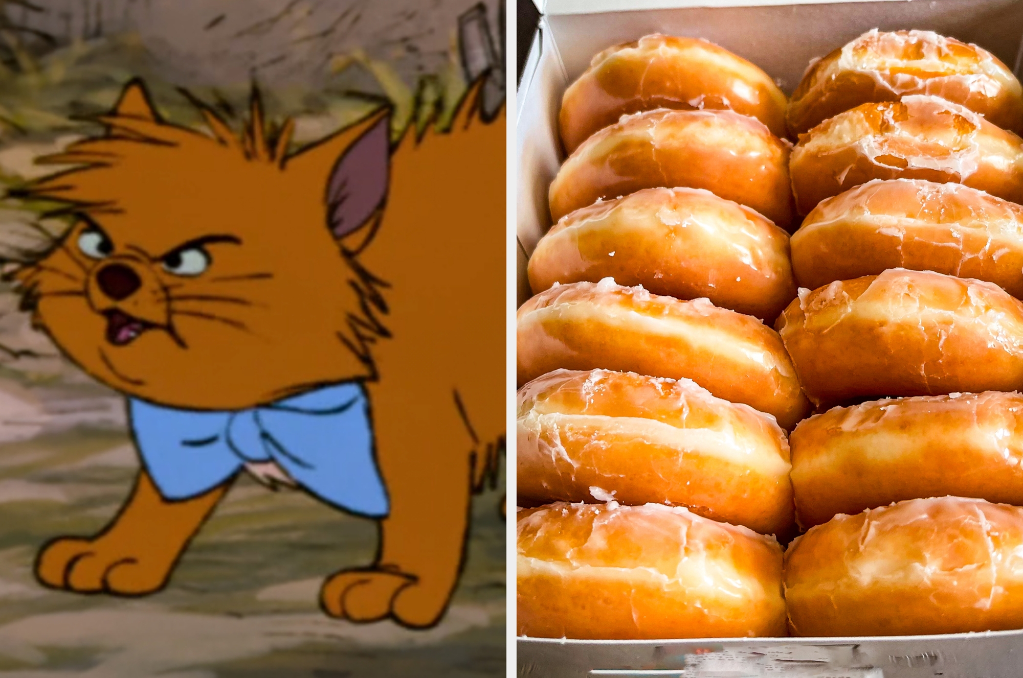 On the left, Toulouse from The Aristocats hissing, and on the right, a box of glazed donuts