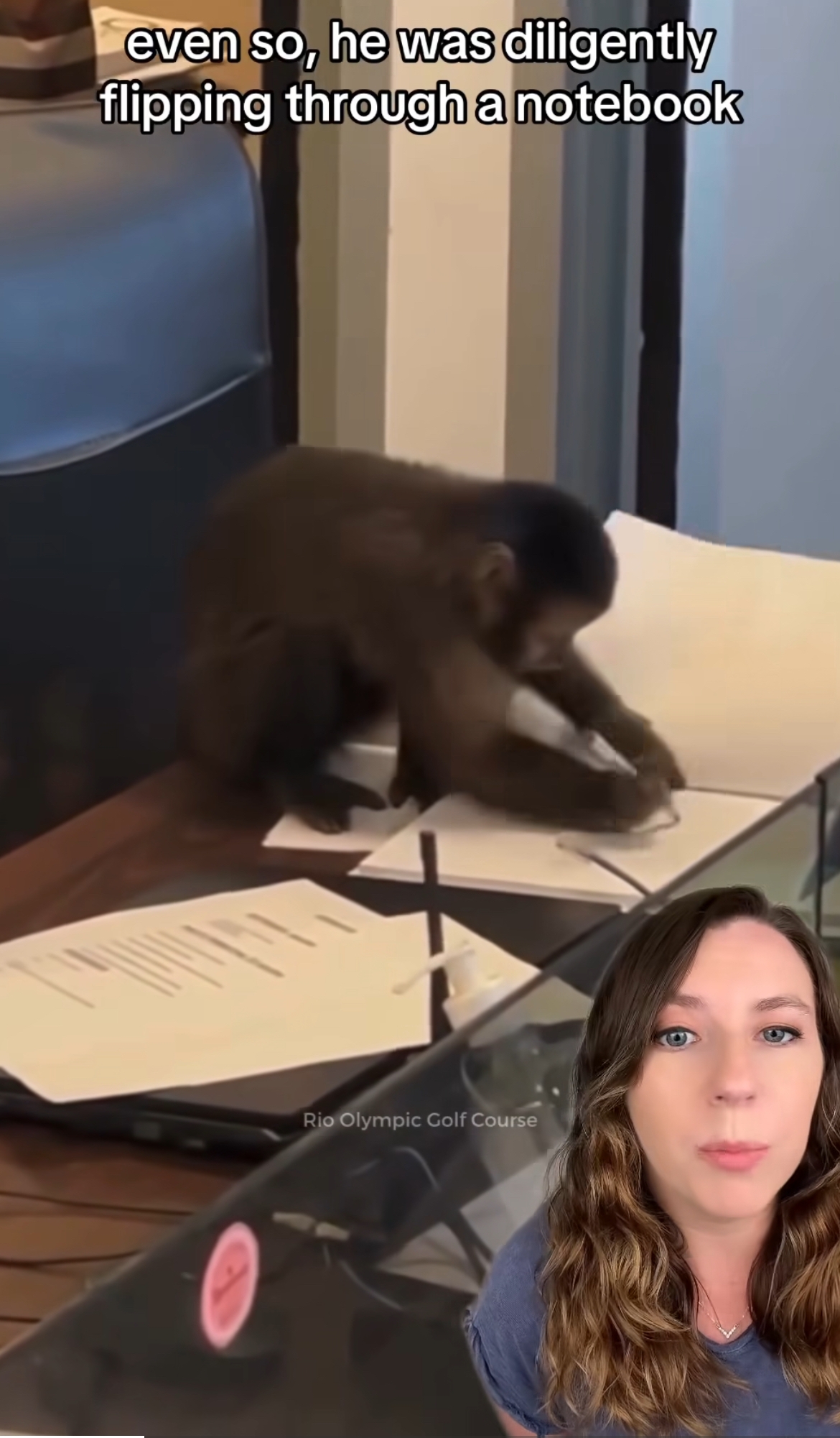 En Capuchin -ape vipper gjennom en notisbok ved et skrivebord. En kvinne snakker i et overlegg nederst til høyre