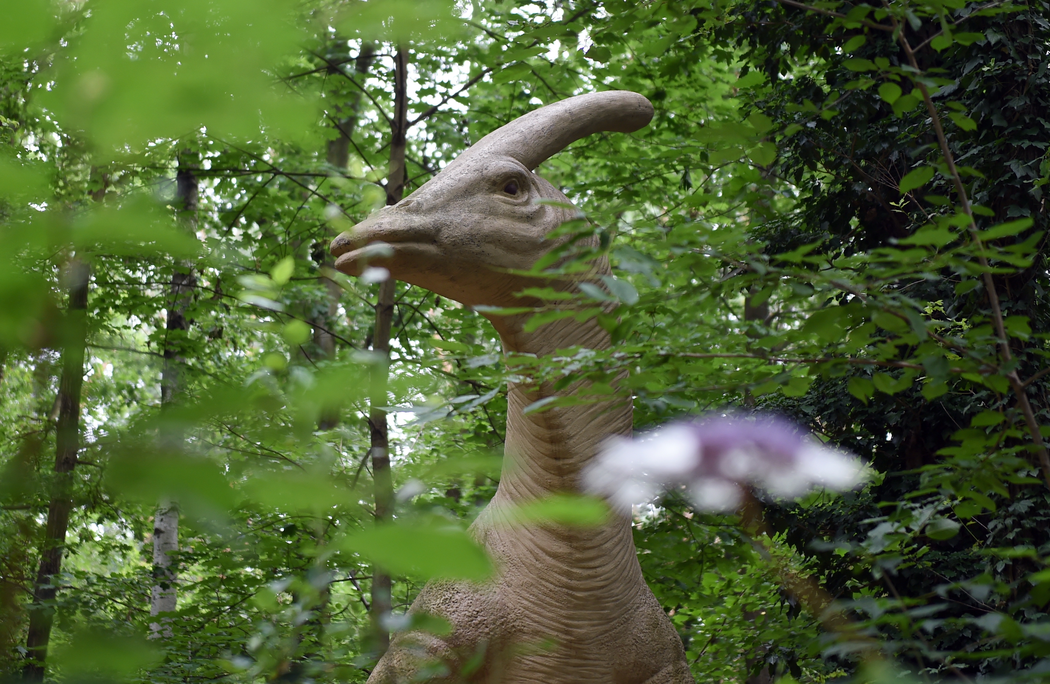 A Hadrosaur statue with a long crest is partially obscured by foliage in a forest setting