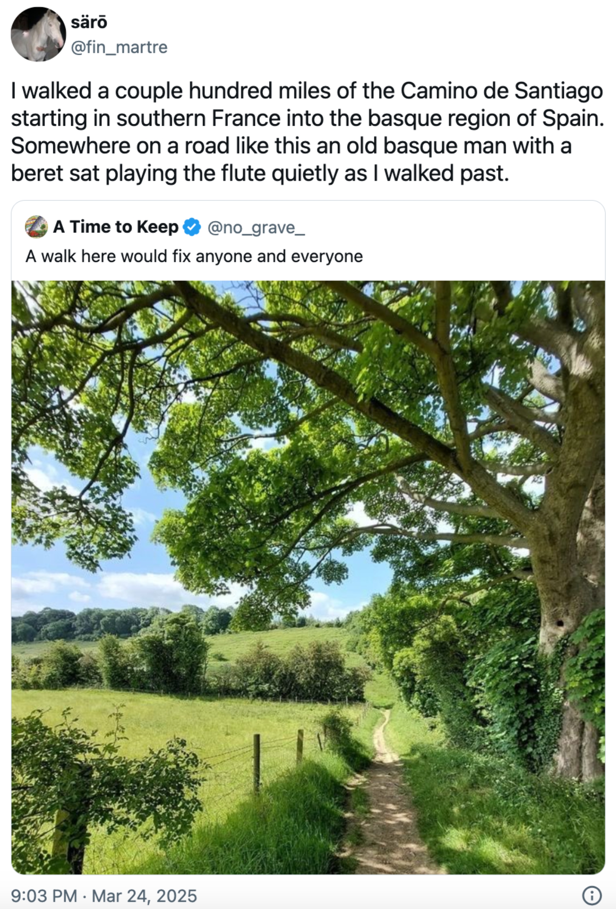 En frodig grønn landsbygd med trær og et gjerde ved siden av. Tekst ovenfor beskriver en rolig tur på Camino de Santiago, og møter en fløytist