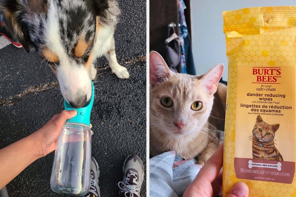 Left: Dog drinking from a portable water bottle with a bowl. Right: Cat next to Burt's Bees dander-reducing wipes for cats packaging