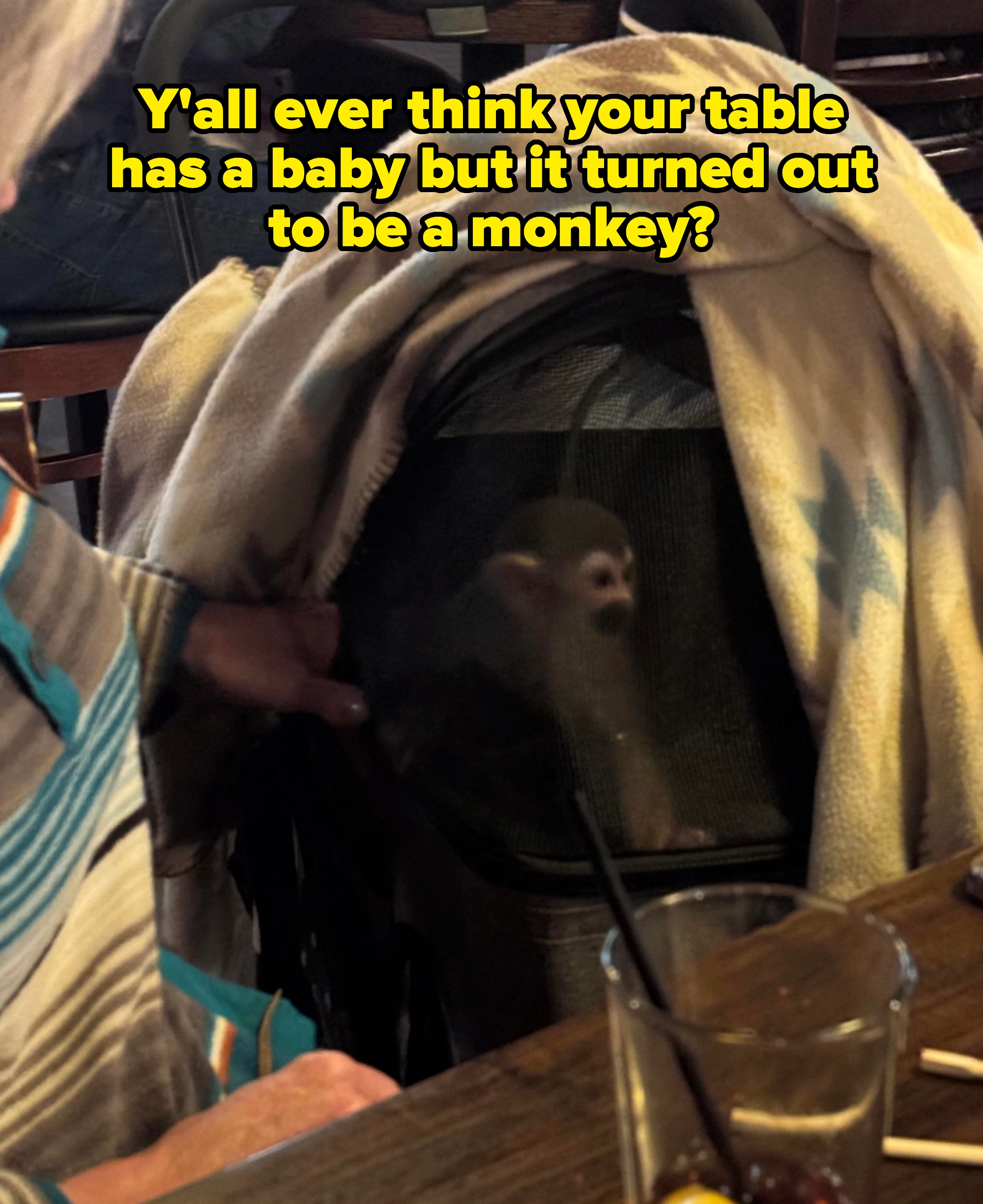 Small monkey peeking out from a stroller, partially covered by a blanket. A person's hand is near the stroller