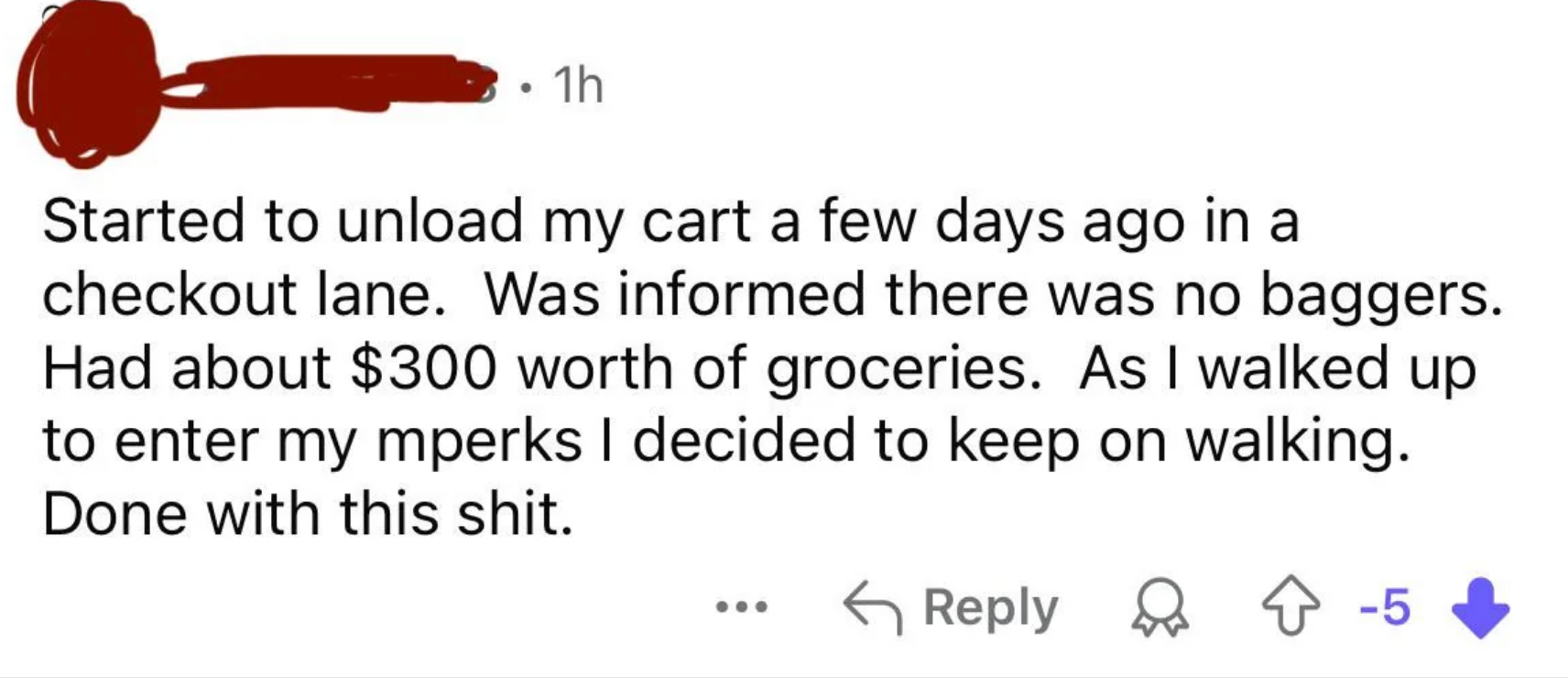 Social media post expressing frustration about having to bag $300 worth of groceries alone at checkout