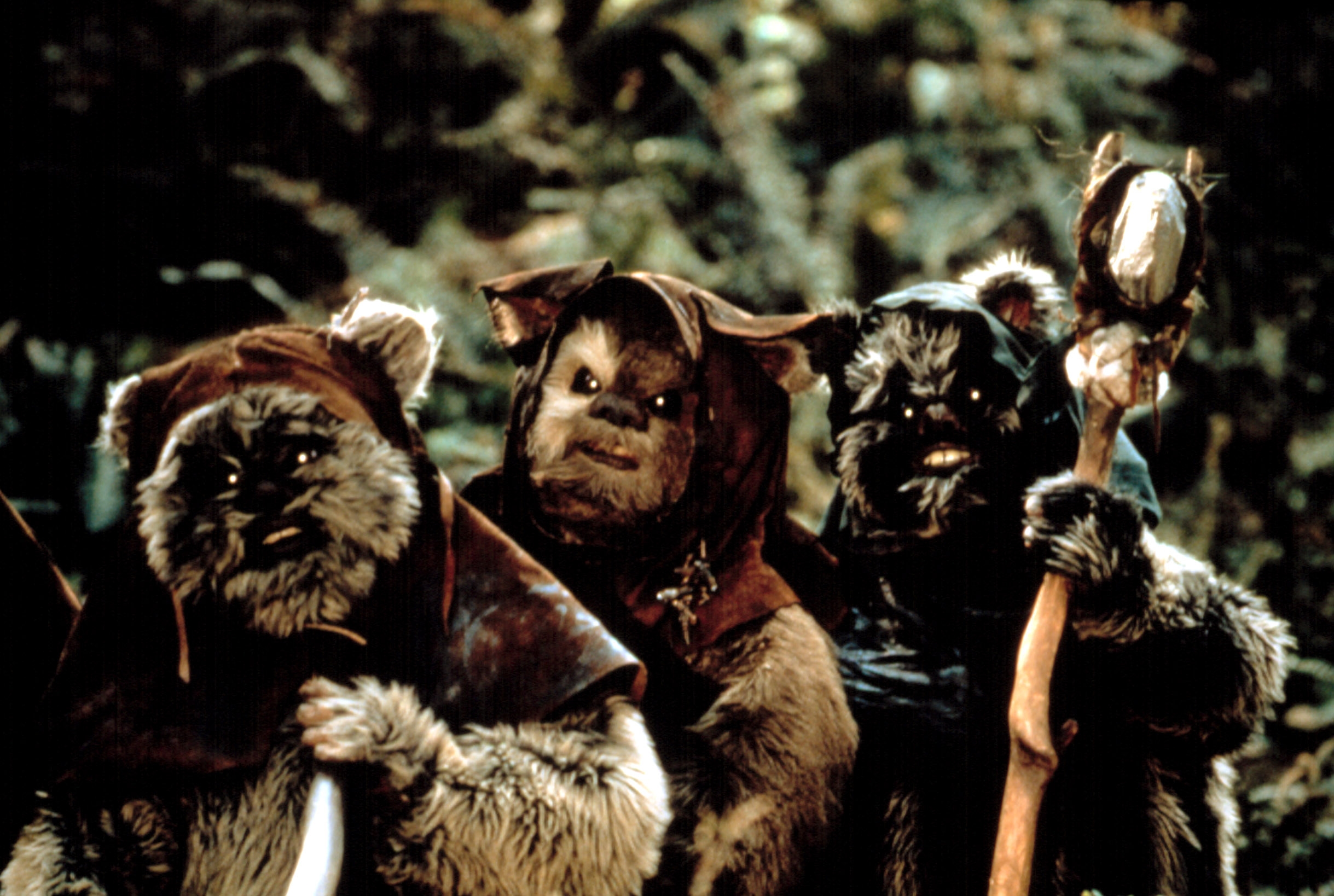 Three costumed Ewoks holding a staff in a forest setting, familiar from a popular sci-fi movie series
