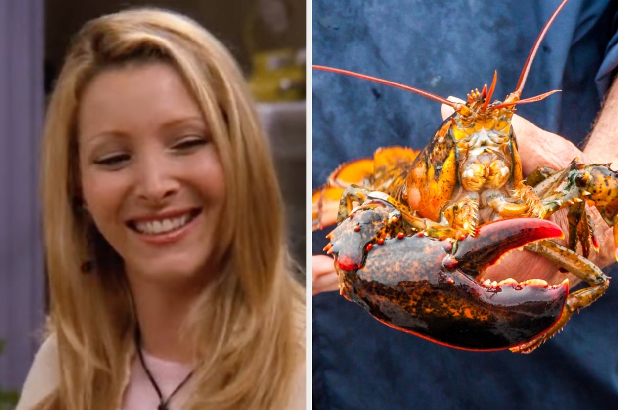 Maine Is Absolutely Amazing, So Pick Some Places To Visit And I'll Pair You With An Iconic Symbol Of The State