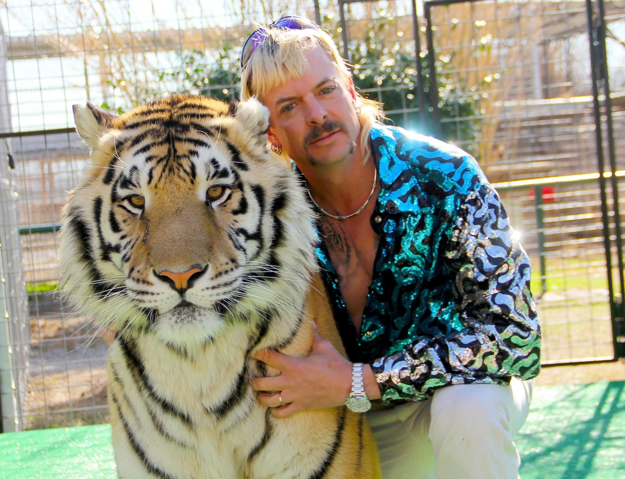 Person with a mullet hairstyle in a shiny sequined jacket poses next to a large tiger, both inside an enclosure