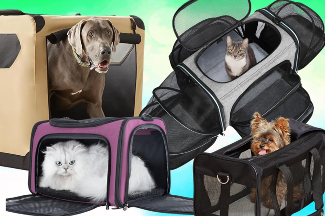 The Best Actually-Comfortable Pet Carriers For Travel