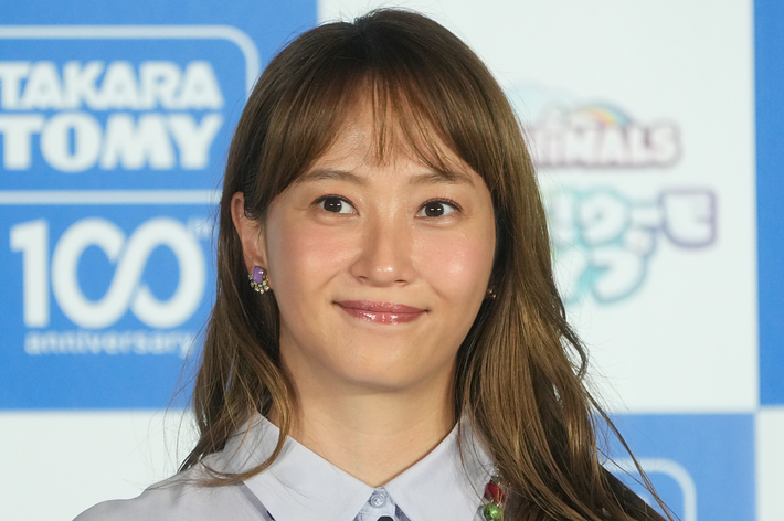 久しぶりにDSやりたいなって思って…」Ado、所持するカセット14種 久しぶりにDSやりたいなって思って…」Ado、所持するカセット14種