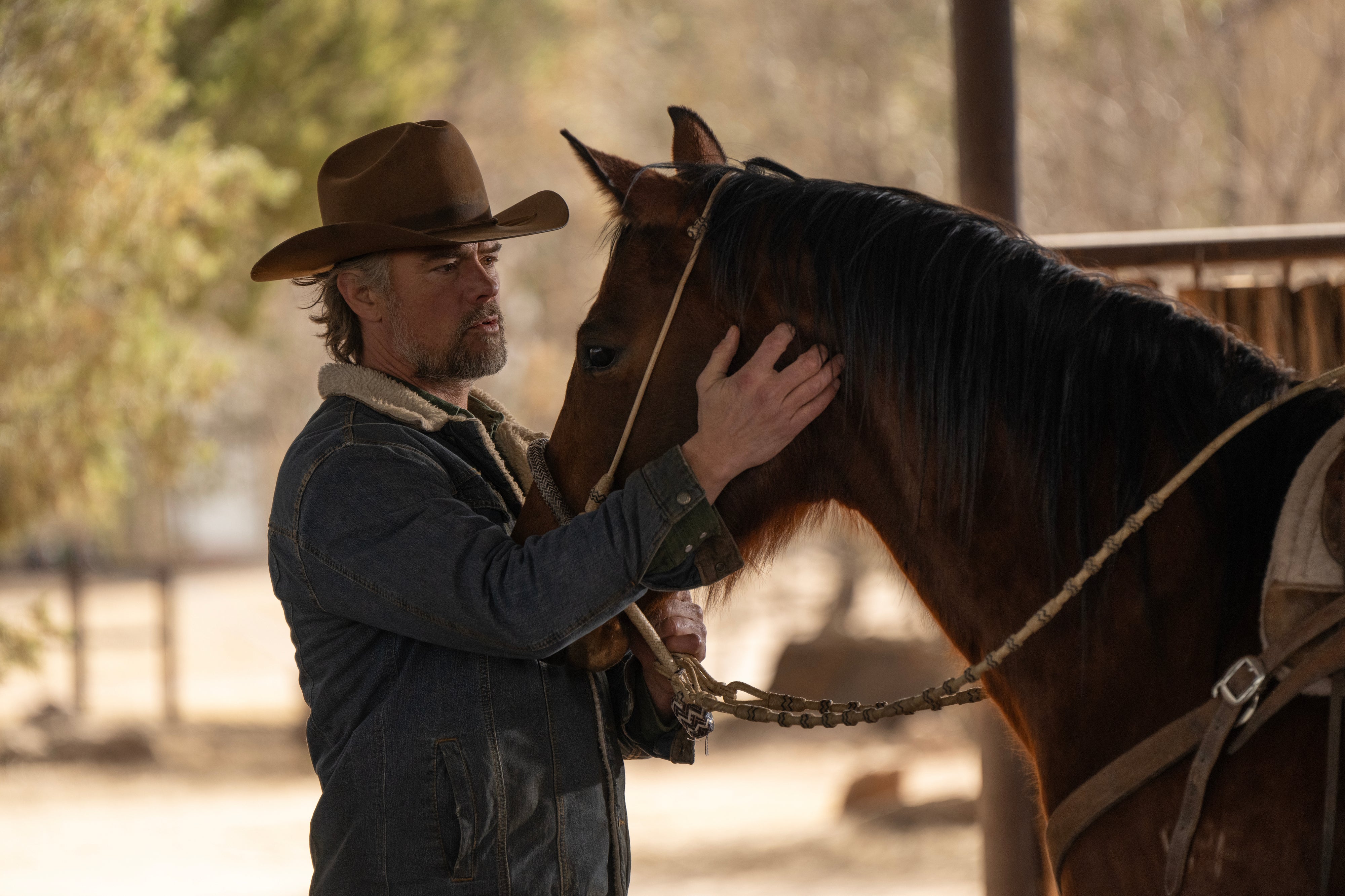 Josh Duhamel in a cowboy hat and denim jacket gently touches a horse's face outdoors