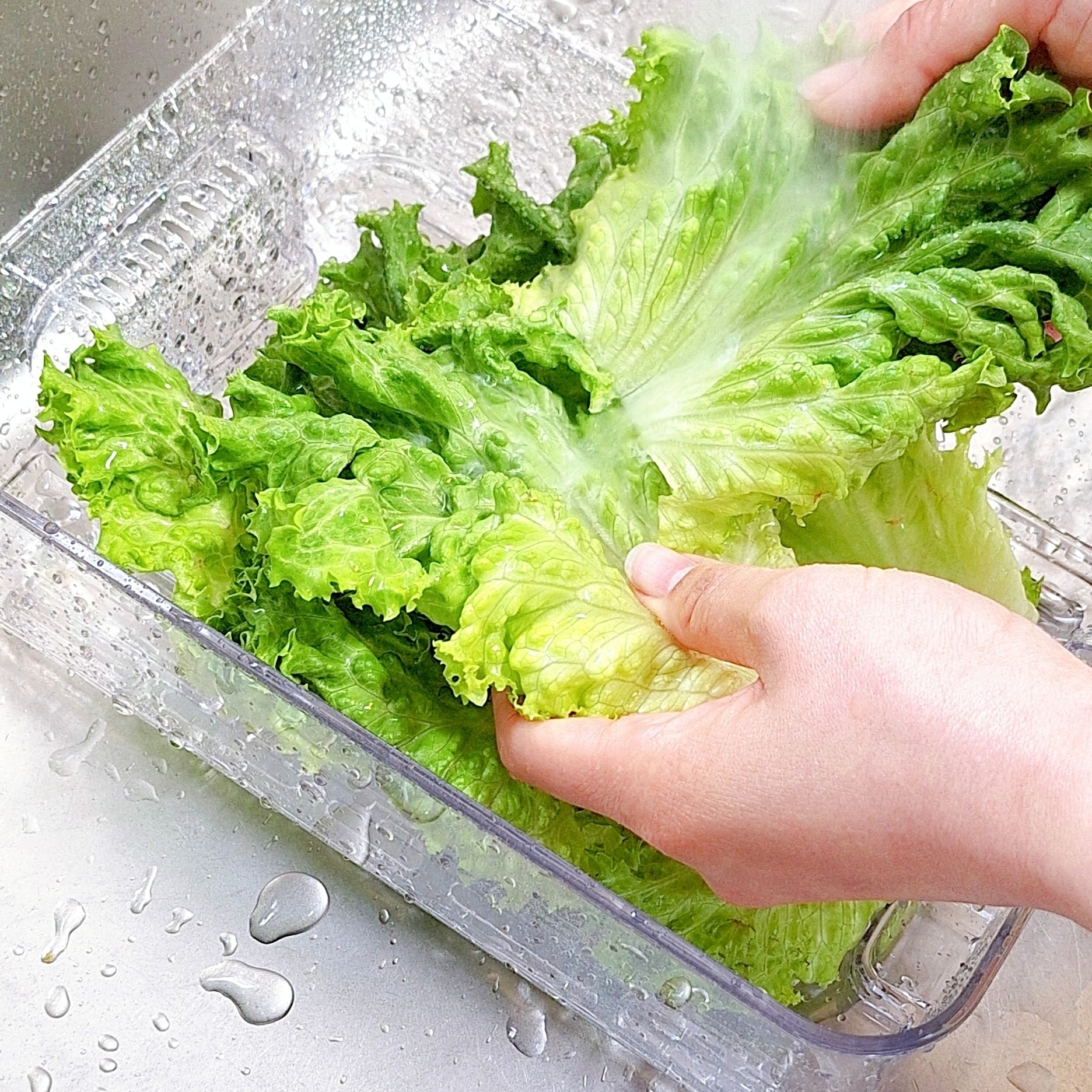 カインズ「フレッシュ保存容器 Mサイズ」